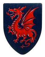 Medieval dragon shield