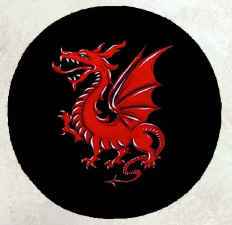 Round dragon medieval battle shield - hand painted red and black